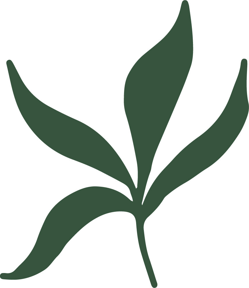 Worry Tree Logo consisting of a dark green leaf.